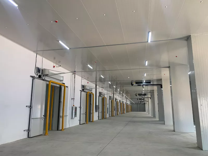 Warehouse Struktura Steel